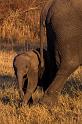 038 Botswana, Okavango Delta